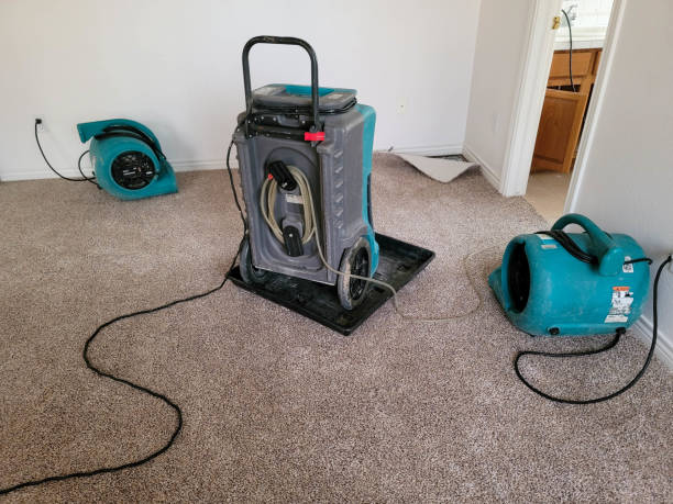Local water damage restoration in Whidbey Island Station, WA