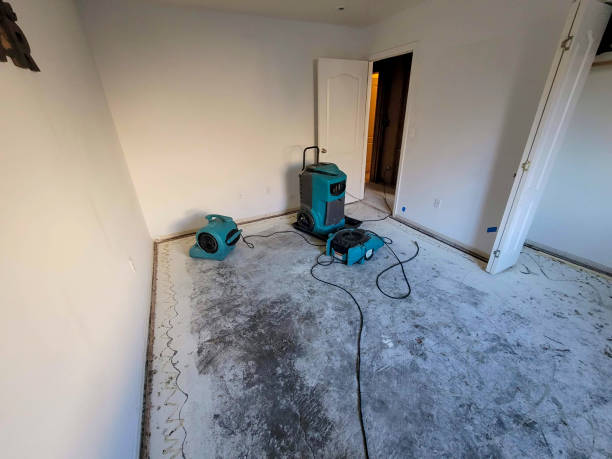 Best Flooded house restoration  in Whidbey Island Station, WA