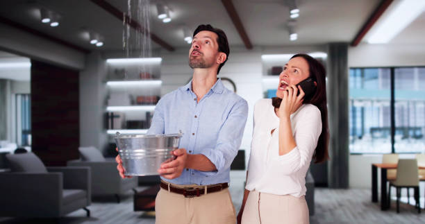 Best Local water damage restoration  in Whidbey Island Station, WA