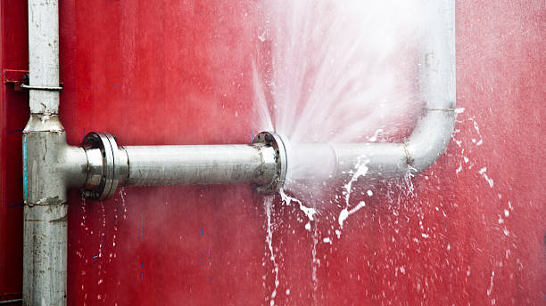 Best Basement water damage restoration  in Whidbey Island Station, WA
