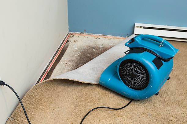 Best Carpet water damage restoration  in Whidbey Island Station, WA